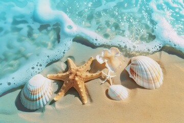 Seashells & starfish on sand