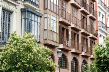 Naklejka premium Classical elegant facades with chic balconies and windows seen through greenery in the center of Madrid, Spain