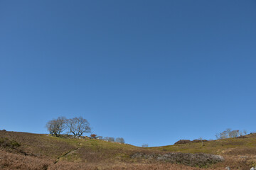 雲一つない青空、鈴北岳付近