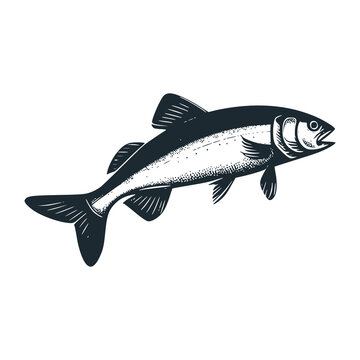 recommend clip art: The Tuna fish logo. Black white vector illustration.
                    