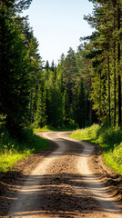 Scenic dirt road winding through lush green forest, sunlight filtering through trees, natural beauty, peaceful outdoor landscape.