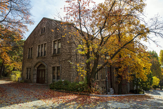 Seodaemun-gu, Seoul, South Korea - November 7, 2021: A cherry tree with yellow maple leaves and a building with stone wall at Yonsei University in autumn