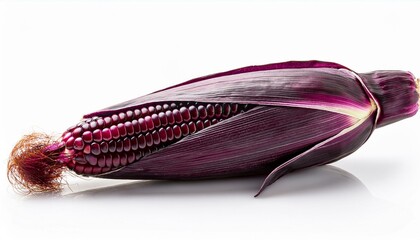 fresh purple corn isolated on a white background