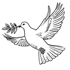 Obraz premium Dove represents peace and harmony.