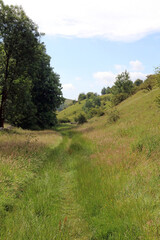 Path down a narrow Derbyshire Dale, England
