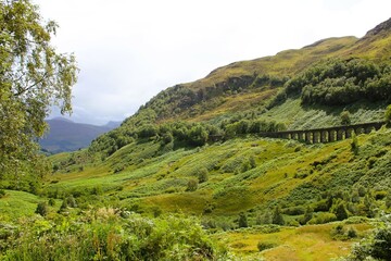 Obraz premium A tranquil, green landscape featuring a historic viaduct with arched stonework, surrounded by rolling hills and distant mountains under an overcast sky.