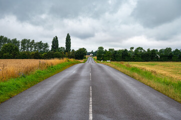 Lonely road through the agriculture fields at the Danish countryside around Maribo, Denmark