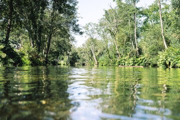 Log floating down the river in Gois, Portugal