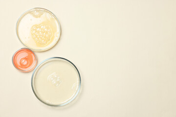 Petri dishes with samples on beige background, top view. Space for text