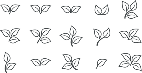 Leaf Types Line Icon Set