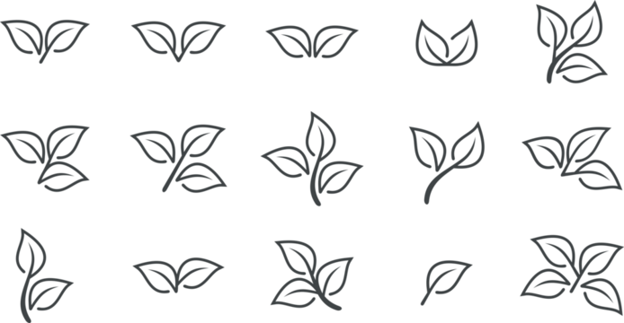 Leaf Types Line Icon Set
