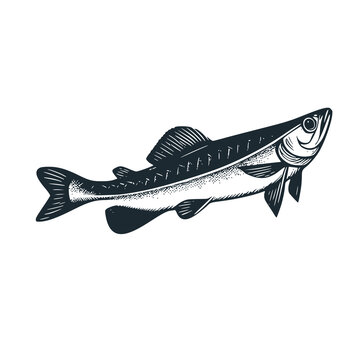 recommend clip art: The Tuna fish logo. Black white vector illustration.
                    