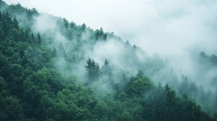 Mystic Fog Blanketing Mountain Pass - A Serene and Enigmatic Scene of Nature's Veil
