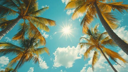 Serene Tropical Paradise: Sunlit Palm Beach with Summer Vibes