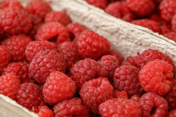 Koszyk pełny dojrzałych malin z bliska