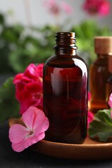 Bottles of geranium essential oil and beautiful flowers on black table, closeup