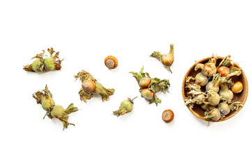 Fresh filbert nuts or hazelnuts with leafy shells, top view