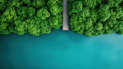 An aerial view captures a wooden bridge extending into a lush green forest surrounding a body of blue water, presenting a serene and picturesque natural scene.