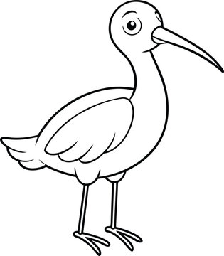 recommend clip art: Happy woodcock with a long beak line art shows a joyful bird in a minimalist style
                    