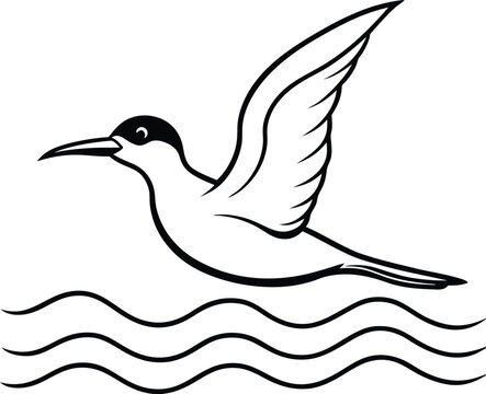recommend clip art: Cheerful tern gliding effortlessly over ocean waves in line drawing
                    