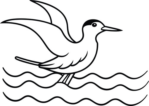 recommend clip art: Tern soaring above waves captured in simple elegant line art
                    