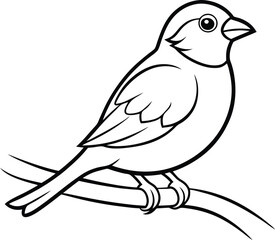 Sparrow happily perched on a branch minimalistic line drawing
