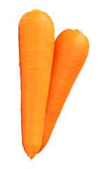 Two roots of fresh orange carrot in stack isolated on white background with clipping path