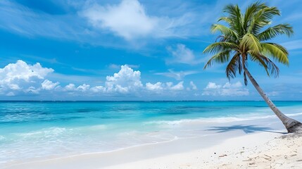 A lone palm tree stands on a pristine white sandy beach with turquoise water and blue sky.