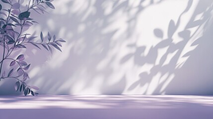 Wall interior with white and purple backdrop, featuring delicate leaf shadows for a serene studio setting.