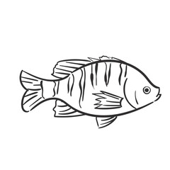 Elements Bluegill Fish