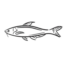 Elements Basa Fish