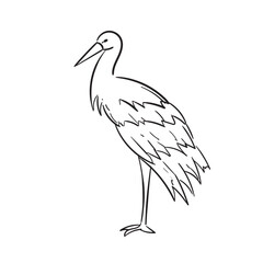 Stork Poses