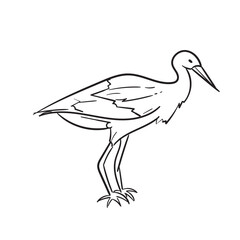 Stork Poses
