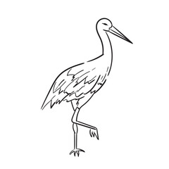 Stork Poses