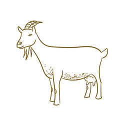 Farm Animal Goat