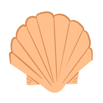 Beach Elements Sea Shell