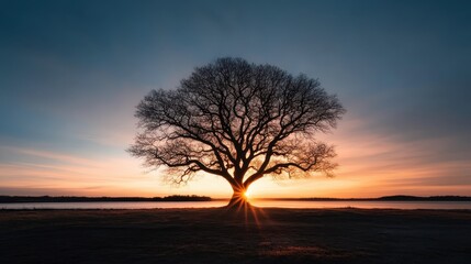 A stunning sunset view with a beautiful tree at its center, casting a mesmerizing shadow over the serene lake and the vast landscape beyond.