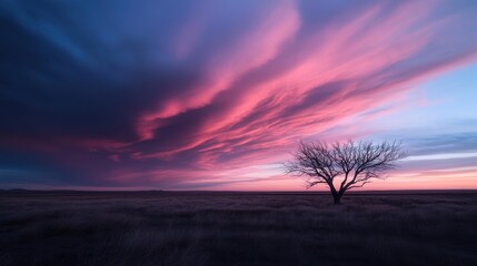An evocative image of a lone tree standing in an open field under a vast, dramatic sky with striking hues of purple and pink clouds capturing the beauty of twilight.