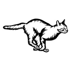 Running Cat