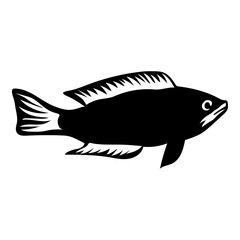 Sea Creatures - Fish