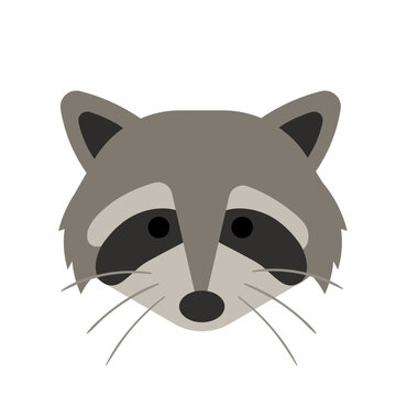 Animal Baby Face Elements Raccoon