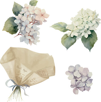 Vector, clipart, purple hydrangea, wrapped Bouquet, with bow, festive flowers, Watercolor illustration, Greeting cards, invitation, party, baby shower, birthday, event, holiday, wedding card, printabl