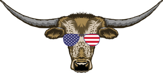 Texas Longhorn Face Sunglasses