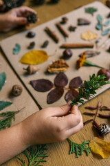 A child makes a herbarium in an album from autumn colorful red, yellow and brown leaves. Happy autumn time