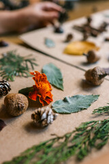 A child makes a herbarium in an album from autumn colorful red, yellow and brown leaves. Happy autumn time