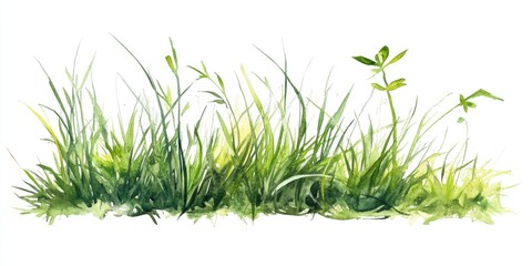 Fototapeta premium Watercolor illustration of lush green grass