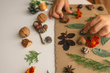 A child makes a herbarium in an album from autumn colorful red, yellow and brown leaves. Happy autumn time