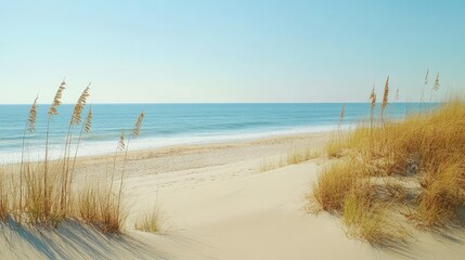A quiet beach on the Outer Banks of North Carolina with sand dunes. No people, copy space.
