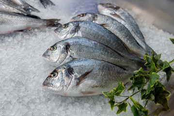 Snapper, bream, fresh fish displayed on crushed ice for sale sun fishmonger's counter