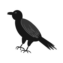 Raven Bird